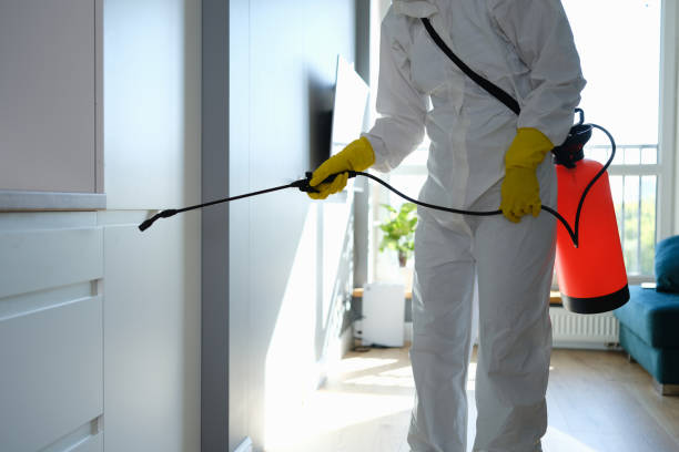 Why You Should Choose Our Mold Remediation Services in Trinity, FL